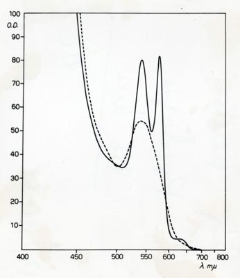 Grafici