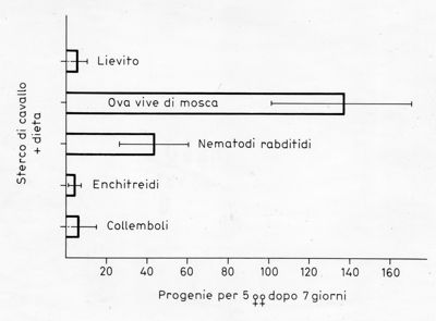 Grafico relativo ad uno studio probabilmente su colonie di acari allevati su substrati alternativi contenenti lievito o uova di mosca, o Nematodi rabdiditi, o Enchitrei o Collemboli. Asse delle ordinate: sterco di cavallo + dieta; asse delle ascisse: progenie per 5 femmine dopo 7 giorni