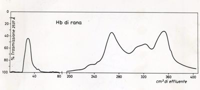 Grafici