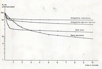 Grafici