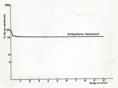 Grafici