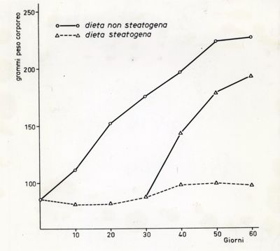 Grafici e fotomontaggi