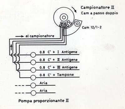 Senza titolo