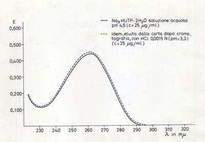 Grafici e fotomontaggi