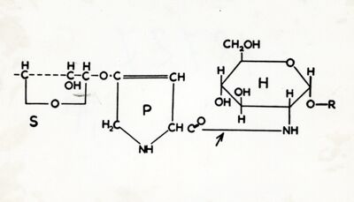 Formula chimica ricettori virus influenza