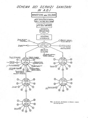 Schema dei Servizi Sanitari in A.O.I.