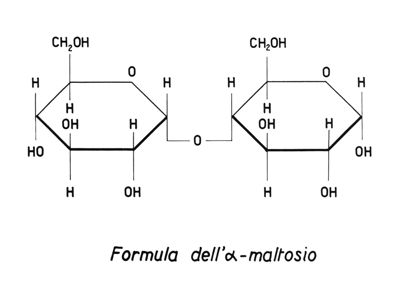 Formule e modelli di vari tipi di molecole