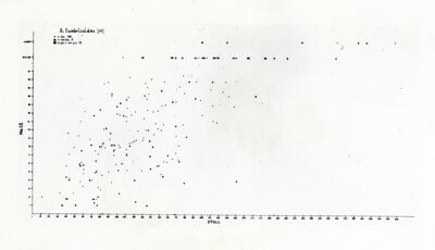 Grafico sul verme Ascaride (Ascaris lumbricoides)