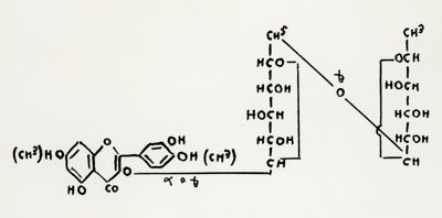 Formula: Ombuoside