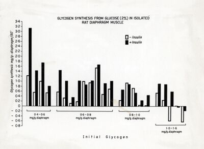 Sintesi del glicogeno a partire da glucosio (2%) nel diaframma isolato di ratto