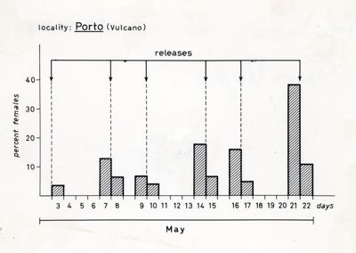 Grafico dei risultati di un esperimento di marcatura e rilascio di mosche (?) a Vulcano, località Porto, nel mese di maggio
