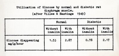 Utilizzazione del glucosio da parte del diaframma di ratti normali e diabetici