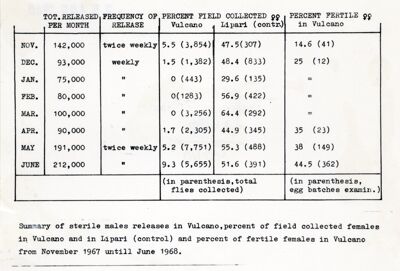 Tabella riassuntiva dei risultati di un esperimento di rilascio di maschi sterili di mosche (?) a Vulcano e Lipari  (controllo) e percentuale di femmine fertili raccolte a Vulcano da novembre 1967 e giugno 1968