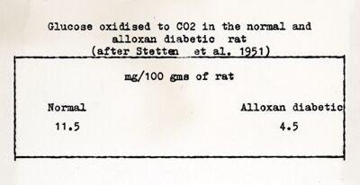 Glucosio ossidato ad anidride carbonica nel ratto normale e diabetico per allossana