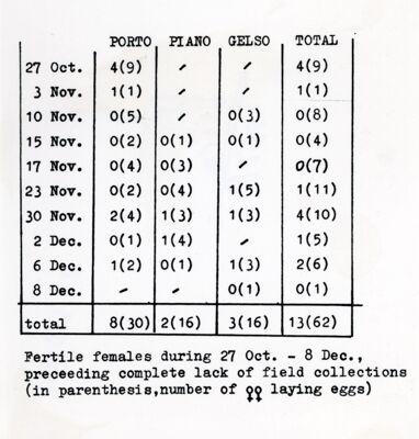 Tabella dei dati di raccolta di femmine di mosca (?) (e relativo numero di uova deposte, in parentesi) a Vulcano in località Porto, Piano e Gelso, dal 27 ottobre all'8 dicembre