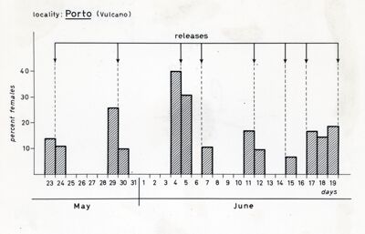 Grafico dei risultati di un esperimento di marcatura e rilascio di mosche (?) a Vulcano, località Porto, da maggio a giugno