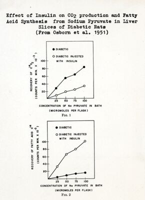 Influenza dell'insulina sulla produzione di CO2 e sulla sintesi degli acidi grassi a partire dal piruvato di sodio nel fegato di ratti diabetici