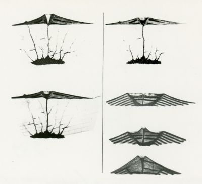 Grafico riguardante la Società di Chimica