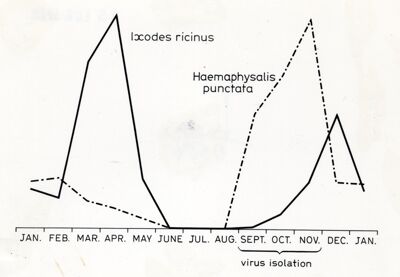 Grafico dei risultati di un esperimento sulla ricerca e isolamento di virus in esemplari di zecche appartenenti alle specie Ixodes ricinus e Haemaphysalis punctata; l'isolamento dei virus risulta effettuato tra settembre e novembre