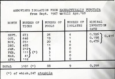 Tabella relativa a isolamento di arbovirus in zecche della specie Haemaphysalis otophila (oggi H. parva), da settembre 1967 ad aprile 1968, per mese