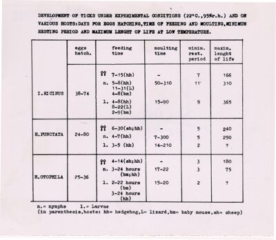 Tabella sui risultati di un esperimento di sviluppo di zecche Ixodes ricinus, Haemaphysalis punctata e H. otophila (H. parva) in condizioni sperimentali e su vari ospiti, per schiusa delle uova, tempo di alimentazione e muta, tempo minimo di riposo e massima durata di vita a bassa temperatura