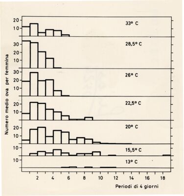 Grafico - asse delle ordinate: numero medio ova per femmina; asse delle ascisse: periodi di 4 giorni