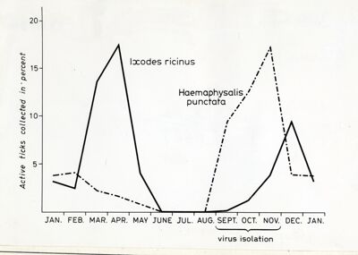 Tabella relativa ad andamento numerico percentuale delle zecche della specie Ixodes ricinus e Haemaphysalis punctata in un anno e isolamento virale da settembre a novembre.