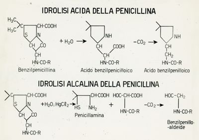 Caratteristiche chimiche e microbiologiche di Penicilline