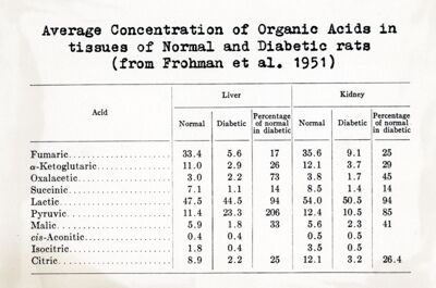 Concentrazione media degli acidi organici nei tessuti di ratti normali e diabetici