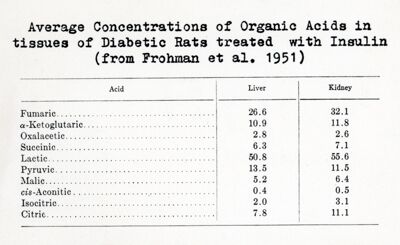 Concentrazione media degli acidi organici nei tessuti di ratti normali e diabetici con insulina