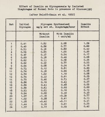 Influenza dell'insulina sulla glicogenesi nei diaframmi di ratti normali in presenza di glucosio (2%)
