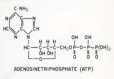 Formula dell'adenosintrifosfato