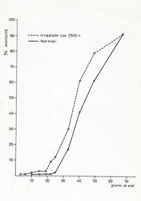 Grafico non determinabile