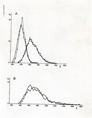 Grafico non determinabile