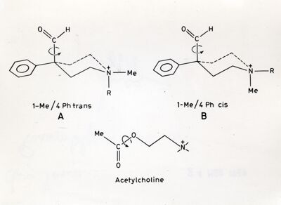 Formule di struttura dell'Acetilcolina