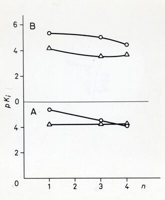 Grafico non determinabile