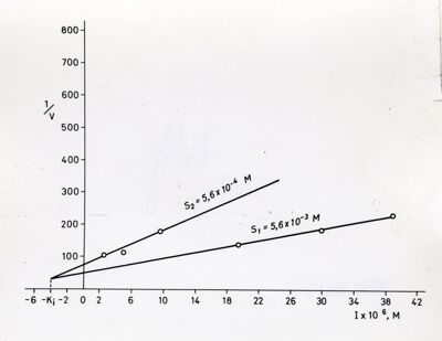 Grafico non determinabile