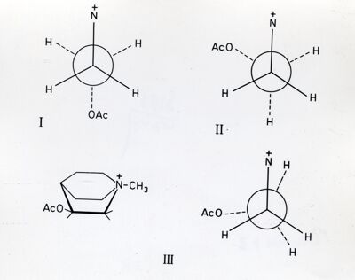 Formule di struttura dell'Acetilcolina, schemi della posizione degli atomi nelle molecole di Acetilcolina