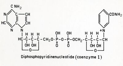 Formula del coenzima I