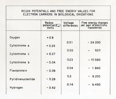 Potenziali redox e valori dell'energia libera per vari trasportatori di elettroni nelle ossidazioni biologiche