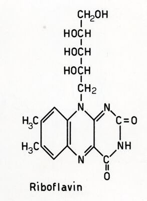 Formula della Riboflavina