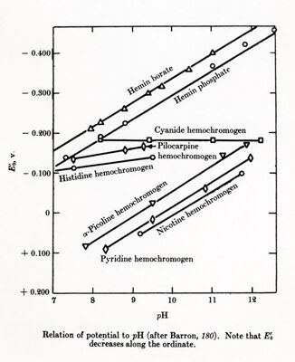 Potenziali redex in funzione del pH (Barron 1937)