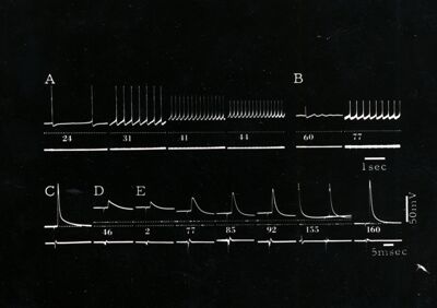 Grafico non determinabile