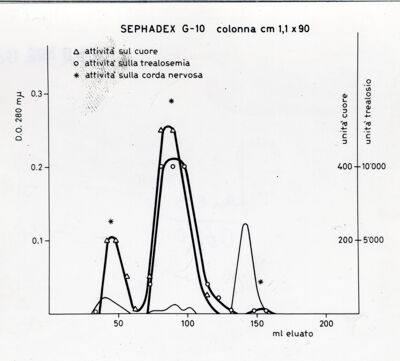 Grafico probabilmente relativo ad uno studio sulla fisiologia dei corpi caridiaci di insetto (probabilmente Periplaneta americana)