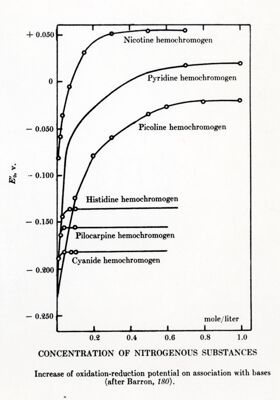 Aumento del potenziale di ossido riduzione per aggiunta di basi organiche (barron 1937)