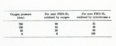 Formula del coenzima A.