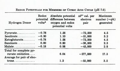 Potenziali Rdox di sostanze facenti parte degli acidi tricarbossilici (a pH 7.0)