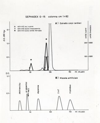 Grafico probabilmente relativo ad uno studio sulla fisiologia dei corpi cardiaci di insetto (probabilmente Periplaneta americana)