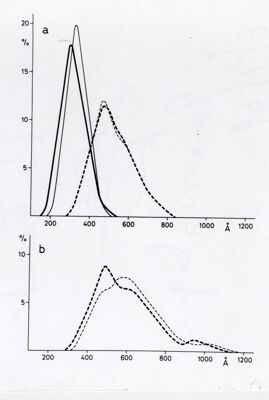 Grafico non determinabile