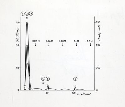 Grafico non determinabile